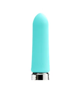 Bam rechargeable Vedo Bullet vibrator