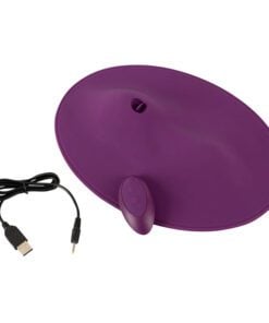 Power cord and remote control for the  Vibepad 2, sit on vibrator